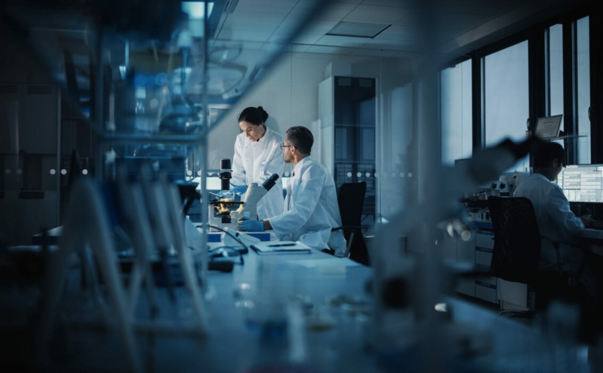 Nulla auctor faucibus